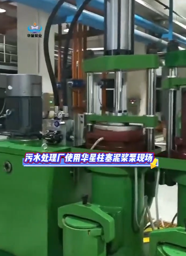 污水處理廠使用華星柱塞泥漿泵現(xiàn)場(chǎng)